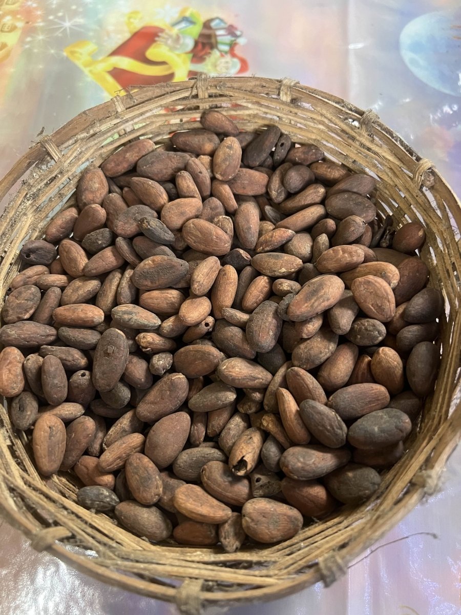 Kit Cacao – Voyage d'Origine - Alvea
