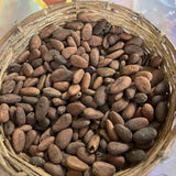 Kit Cacao – Voyage d'Origine - Alvea